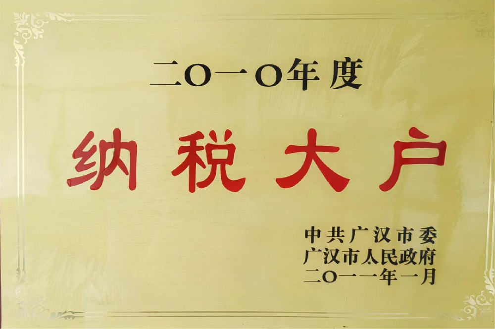 2010年度纳税大户