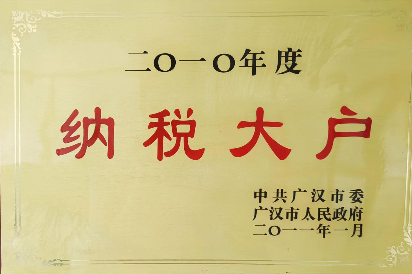 2010年度纳税大户.jpg