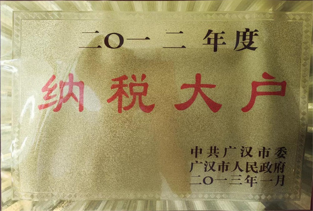 2012年度纳税大户